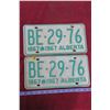 Image 1 : 2 Centennial 1967 Matching Alberta Plates