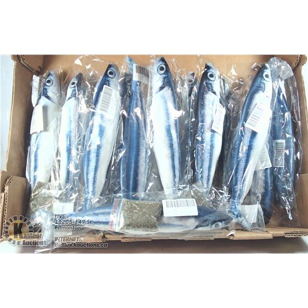 FLAT OF OF MOVING FISH TOYS.