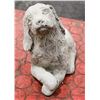 Image 2 : CONCRETE SITTING DOG 6 INCH LONG STATUE
