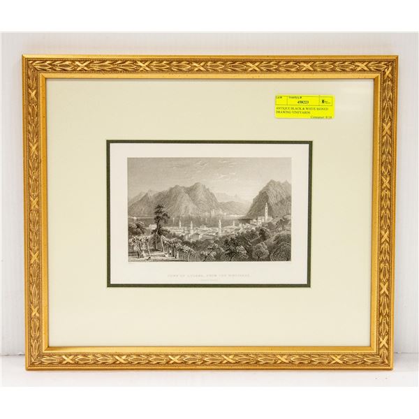 ANTIQUE BLACK & WHITE SIGNED DRAWING VINEYARDS