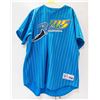 Image 1 : TAMPA BAY DEVIL RAYS PIN STRIPED XXL JERSEY