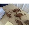 Image 3 : 6 Victor Traps & Wildlife VCR Movies