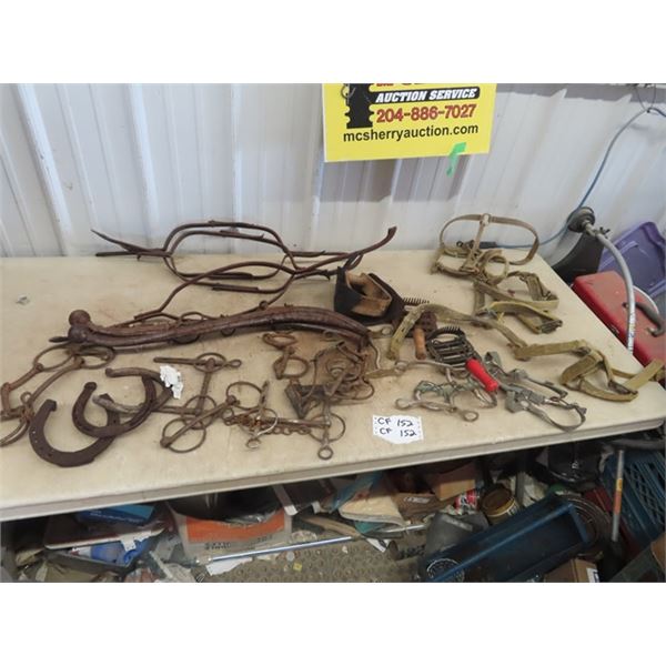 Horse Haimes, Horse SHoes, Horse Bridles, Bits, Grooming Plus More!