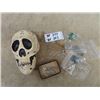 Image 1 : Skull Ornament, Necklaces, Broches