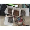 Image 2 : 4 Pails of Nails 3"