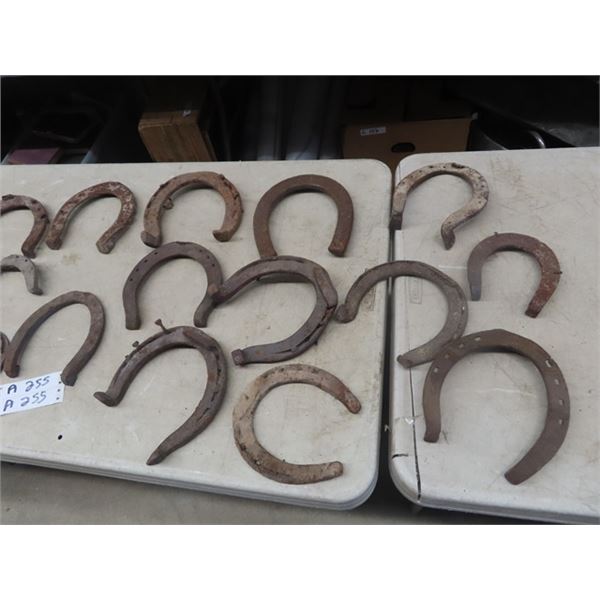Approx 30 Horse Shoes