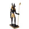 Image 1 : ANUBIS