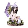 Image 1 : VIOLET FAIRY