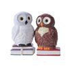 Image 1 : BOOK OWLS MAGNETIC SP SET