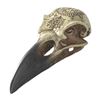 Image 1 : OMEGA RAVEN SKULL