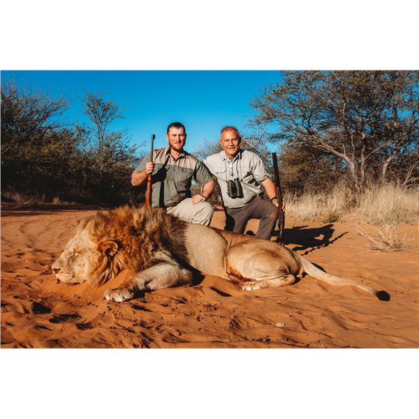 5 DAY LION HUNT 1 HUNTER