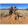 Image 3 : 5 DAY LION HUNT 1 HUNTER