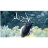 Image 1 : Elk Hunt (Units 34 or 36)