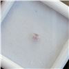 Image 1 : PINK DIAMOND(0.1CT)