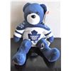 Image 1 : Team Ice Bears Toronto Maple Leafs
