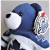 Image 2 : Team Ice Bears Toronto Maple Leafs