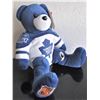 Image 3 : Team Ice Bears Toronto Maple Leafs