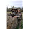 Image 2 : 3-Day Turkey Hunt in North Central Kansas for One (1) Hunter
