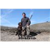 Image 1 : 2-Day California Quail Hunt for Two (2) Hunters