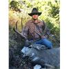 Image 1 : 8-Day 2022 Montana Mule Deer/Elk combo Hunt w/ optional Bear for One (1) hunter
