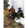 Image 2 : 8-Day 2022 Montana Mule Deer/Elk combo Hunt w/ optional Bear for One (1) hunter