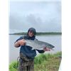 Image 2 : 5-Day Alaska Silver Salmon Fishing Package for Two (2) Anglers