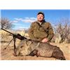 Image 1 : 2023 Javelina Hunt for 4 in Arizona