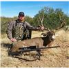 Image 2 : Sonora Mexico Mule Deer Hunt for 2