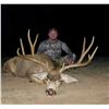 Image 3 : Sonora Mexico Mule Deer Hunt for 2