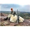 Image 2 : 2022 Utah North Slope/South Slope, High Uintas West Mountain Goat-UWSF