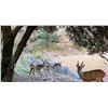 Image 2 : 4-Day Roe Deer or Fallow Deer or Mouflon sheep for One (1) Hunter and One (1) Non-Hunter