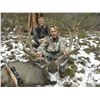 Image 1 : 2022 Montana “Super Tag” Statewide Deer