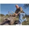 Image 2 : Missouri Whitetail Archery Hunt for 6