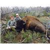 Image 1 : 2022 Utah Henry Mtns Bison Conservation Permit, Hunter’s Choice (Early), Any Legal Weapon (Rifle)