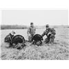 Image 2 : 2-Day Fully Guided Eastern Wild Turkey Hunt in Kansas for Two (2) Hunters