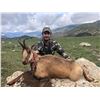Image 2 : 4-Day Pyrenean Chamois Hunt for One (1) Hunter and One (1) Non Hunter