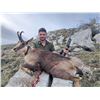 Image 3 : 4-Day Pyrenean Chamois Hunt for One (1) Hunter and One (1) Non Hunter