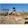 Image 2 : 2022 Texas Whitetail for 2 Hunters with Offgrid Outdoors