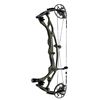 Image 1 : Hoyt Carbon RX7 Bow