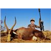 Image 1 : 5-Day Blue Wildebeest, Zebra, Impala & Blesbuck for Two (2) Hunters