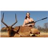 Image 2 : 5-Day Blue Wildebeest, Zebra, Impala & Blesbuck for Two (2) Hunters