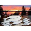 Image 2 : Freshwater Stream and Saltwater Fishing Package for 2 on Alaska Prince of Wales Island