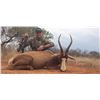 Image 2 : 6-Day South Africa Blue Wildebeest, Impala, Blasbok & Springbok Hunt for Four (4) Hunters