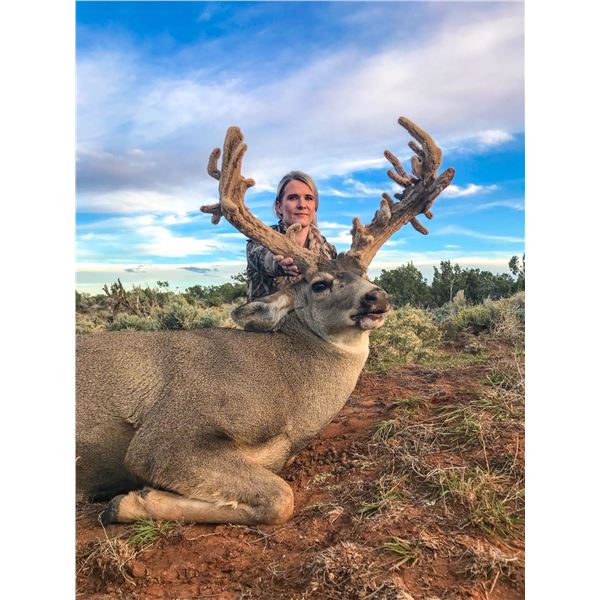 2022 Utah Buck Deer San Juan, Elk Ridge Conservation Permit, Hunter’s Choice