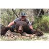 Image 1 : 2022 Utah Statewide Black Bear Conservation Permit - Multi-Season