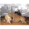 Image 1 : 10-Day South African Spiral Horn Slam & Cull Safari for Two (2) Hunters and Two (2) Observers in the