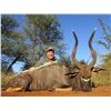 Image 2 : 10-Day South African Spiral Horn Slam & Cull Safari for Two (2) Hunters and Two (2) Observers in the