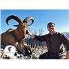 Image 2 : 5-Day Spain Hunting Trip for One (1) Hunter and One (1) Non-Hunter