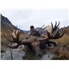 Image 1 : 2023 Alaskan Moose Hunt with Bearfoot Adventures