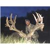 Image 1 : 2022 Wyoming Governor’s Deer, Elk or Antelope License